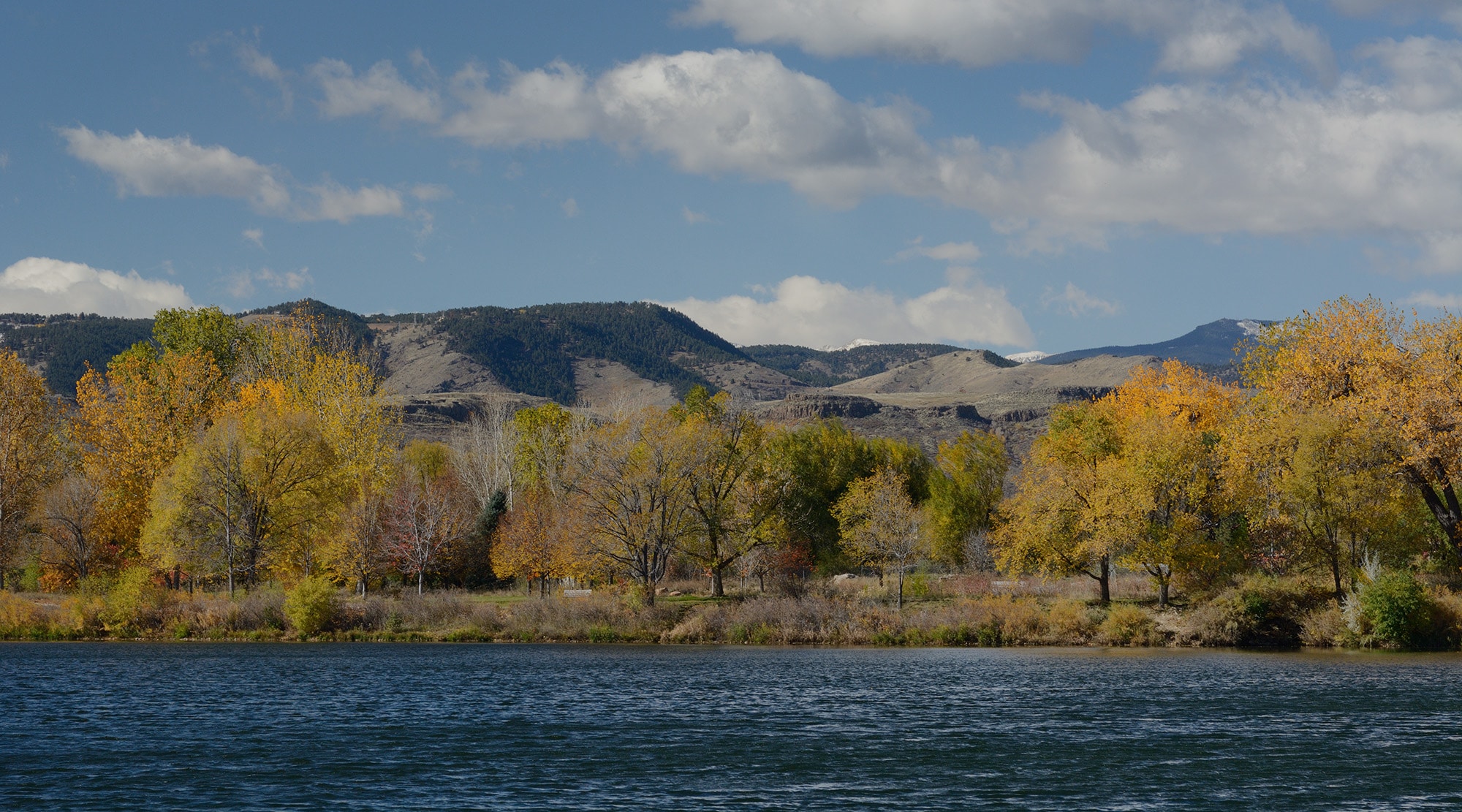 Wheat Ridge House Painters